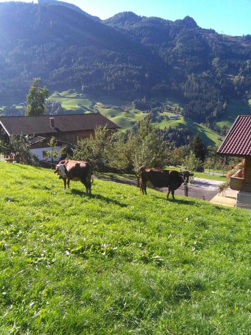 Stockhof Appartement Zell am Ziller Buitenkant foto